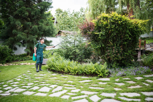 Best Pest Prevention Services  in Fishers, IN